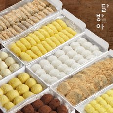 콩쑥개떡/바나나떡/못난이떡/찹쌀떡/옥수수크림떡/치즈크림떡/티라미슈크림떡/경단