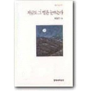 지금도 그 별은 눈뜨는가(창비시선 169)