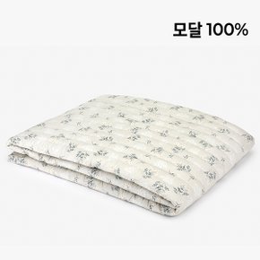 {~9/19일까지 김해점 할인 행사!!} 소프트 모달 패드 - 20 Lace flower ver.2 슈퍼싱글/퀸