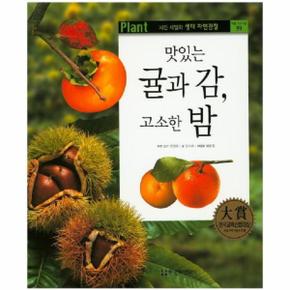 맛있는 귤과 감  고소한 밤   사진 세밀화 생태 자연관찰 59_P347720948