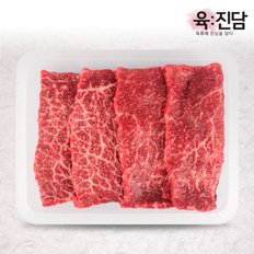 [육진담] 한우 1등급 육전용 300g (냉장)