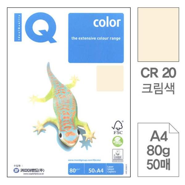 확대된 대표 이미지1
