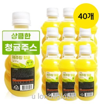  제주랑 제주 청귤 어린이 과일 주스 음료 320ml 40개