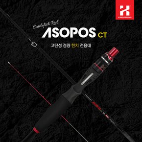 카즈미 아소포스 CT 한치대