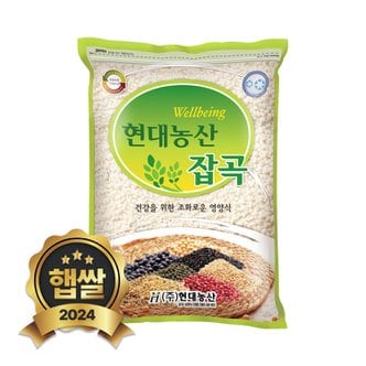 현대농산 2024년 햅쌀 국산 찹쌀 2kg