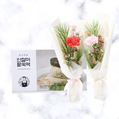 카네이션 세트+인절미팥쑥떡 어버이날 스승의날 감사 존경 은혜 축하 생신 기념일 선물 꽃배달