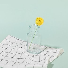 더라이프 투명화병 250ml