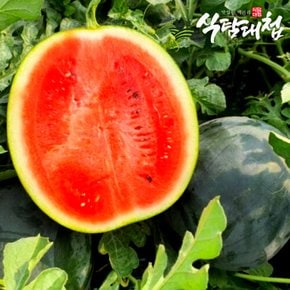 식탐대첩 달콤한 정품 흑 수박 8-9kg