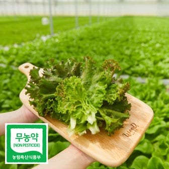  [~24%]친환경 무농약 모듬쌈 외 채소 행사