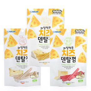 과일먹은 치즈덴탈껌 100g 강아지간식