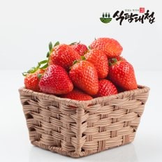 식탐대첩 김천 수경재배 설향 생딸기 35구 700g