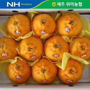 [1/15(수)순차출고]제주 위미농협 선물세트 한라봉 5kg(10-25과내외)