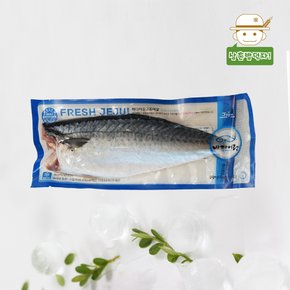 청청제주에서 직배송한 제주 고등어살 (중) 2kg