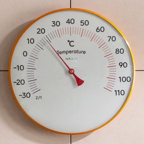 국산 플라이토 히트원 아날로그 온도계 20cm