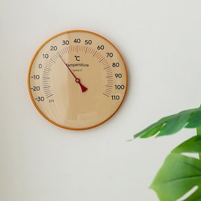 국산 플라이토 히트원 아날로그 온도계 20cm