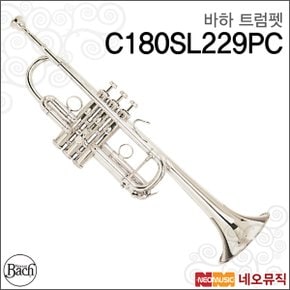 트럼펫 Bach C180SL229PC Philadelphia C 트럼팻