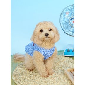 개리야스 모시메리 ODM0002