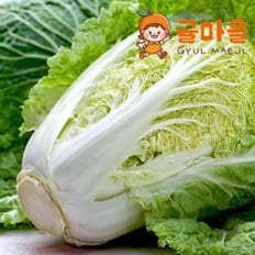 귤마을 국내산 포기배추 2통 통당 1.5kg내외