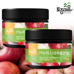 아누카 사과추출분말 120g X 2통