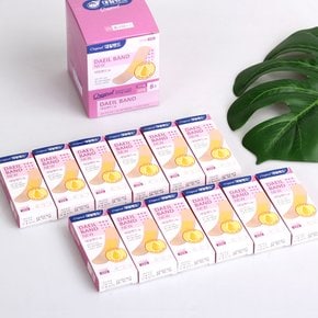 NEW 표준형 밴드 대일밴드-표준형8매x12케이스