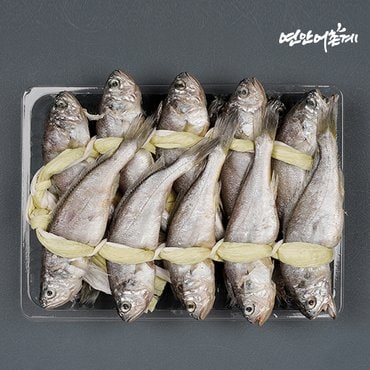연안어촌계 법성포 가정용 참굴비(20미/1.4kg/18~20cm)/엮걸이/냉동