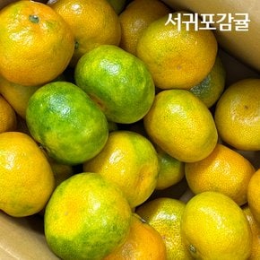 [제주산지직송] 하우스감귤 3kg 로얄과(20~35과내외)