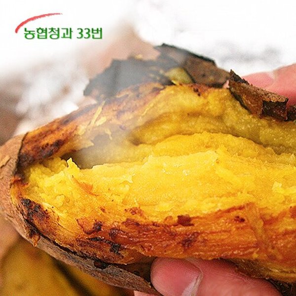 [농협청과33번] 25년 햇 꿀밤고구마 10kg 왕특 (세척)