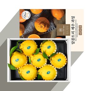 [산지직송] 고당도 한라봉 3kg (8-10과)