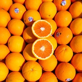 상큼한 카라카라 오렌지 40입 (중과190g내외 88과)