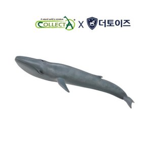 [컬렉타, COLLECTA] 컬렉타 흰긴수염고래(흰수염고래,대왕고래), 해양동물 피규어
