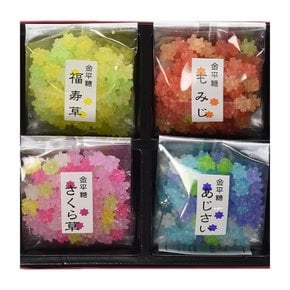 마메토미 혼포 교토 사계절 캔디 별사탕 40g