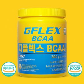 헬스보충제 지플렉스 BCAA 300g