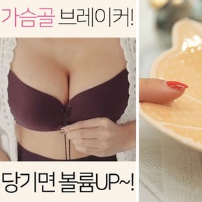 코르셋 윙브라