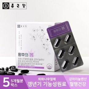 황후의봄 5개월분 5박스[31515761]