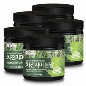 차전자피가루 250g x 5