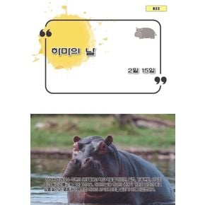 카드10%) 하마의 날