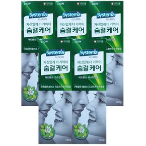 시스테마 숨결케어치약 120g-5개