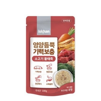 MOLLY'S 이즈칸 독 영양듬뿍기력보충 소고기황태죽 100g