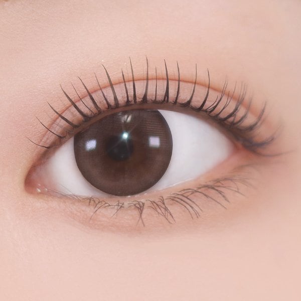 단테 래쉬 디파이너 2종