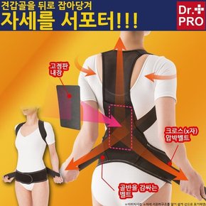 일본아디이어쇼 Dr.PRO  프리미엄 바른자세 서포터