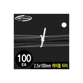 NETmate NMT-100KTW 2.5x100mm 케이블 타이 (화이트/100EA)