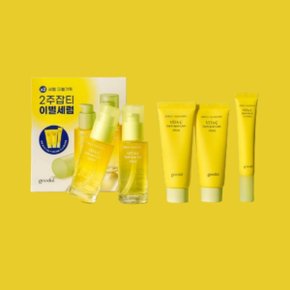 청귤 비타C 잡티세럼 더블시너지 세트 (세럼 30ml2+크림 40ml2+아이크림 15ml)