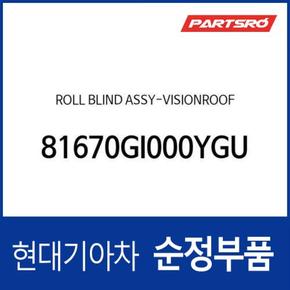 롤 블라인드-비전루프 (81670GI000YGU) 아이오닉5 전기차