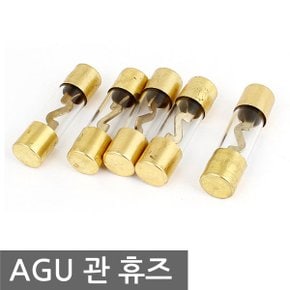 금도금 AGU 유리관 휴즈 퓨즈 카오디오 앰프 엠프