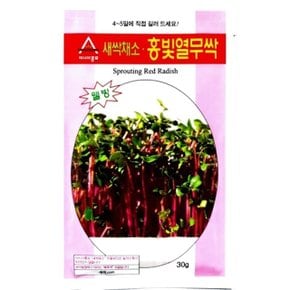 열무씨앗 홍빛열무싹 30g 무 종자 새싹채소 (WBD2F62)