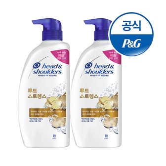 헤드앤숄더 루트스트렝스 샴푸 750ml 2개