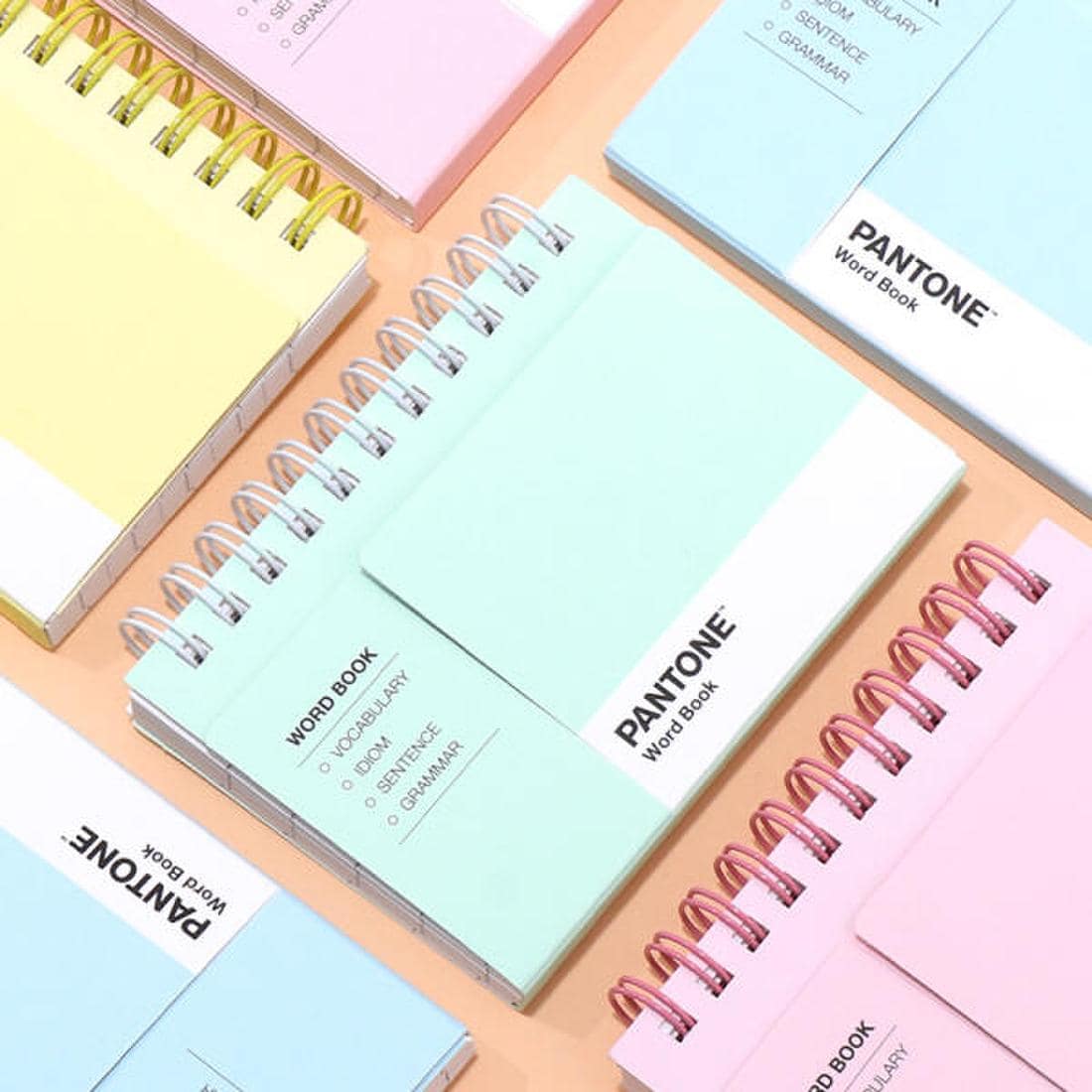 아트박스/퍼니디 Pantone 팬톤 단어장, 신세계몰