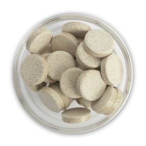 비웰 데일리케어 덴마크 구강유산균 30정 1박스