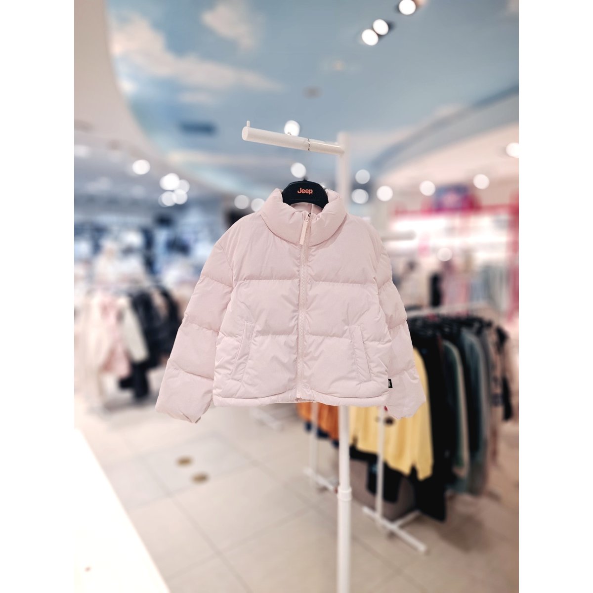 확대된 대표 IMAGE1