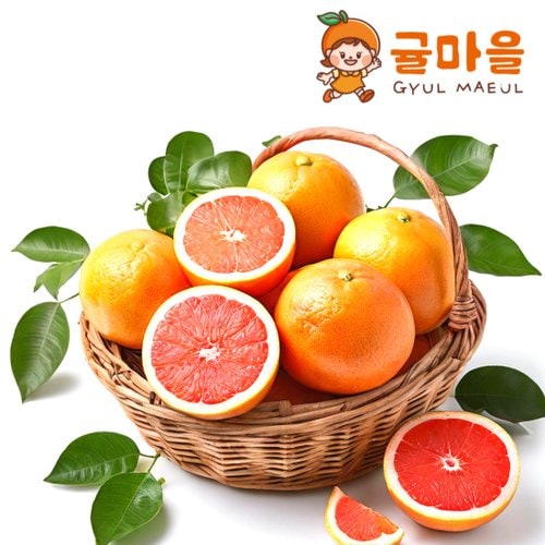 추가5이미지